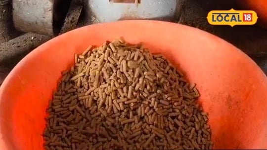 अब मुर्गियों के दाने से होगी बंपर कमाई खुद तैयार करें पोल्ट्री फीड और बचाएं हजारों रुपयेजानिए कमाई का पूरा गणित
