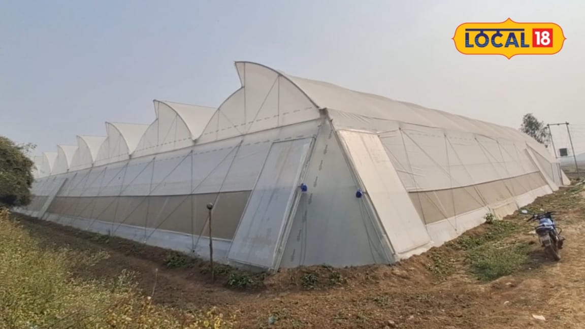 पॉली हाउस की खेती पर किसानों को मिल रहा है बंपर अनुदान बस करना होगा ये छोटा सा काम