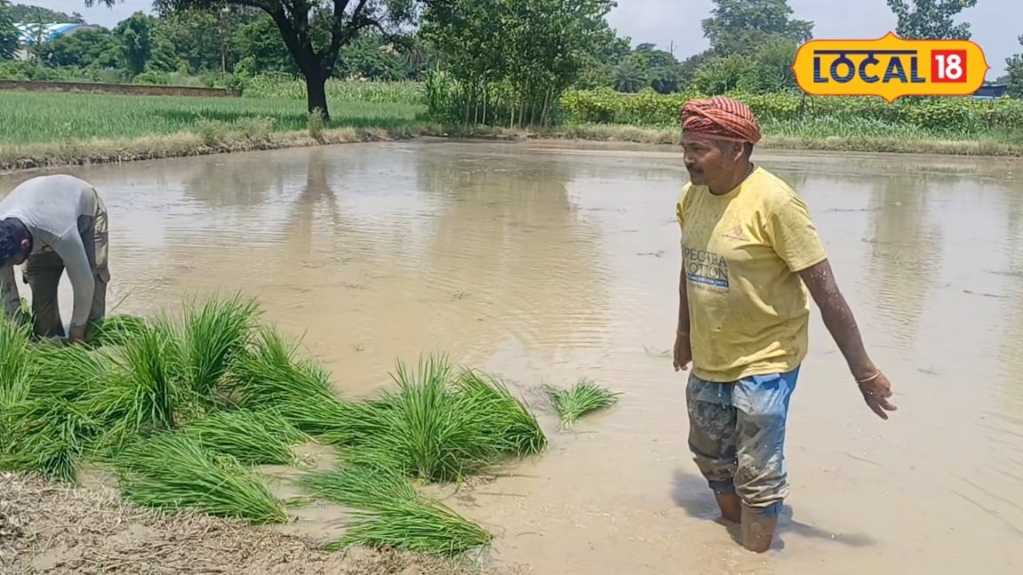 PM Fasal Bima Yojana: 31 अगस्त याद रखें किसान! एक तारीख बचा सकती है मौसम की मार से आपकी महीनों की मेहनत जानें पूरी योजना