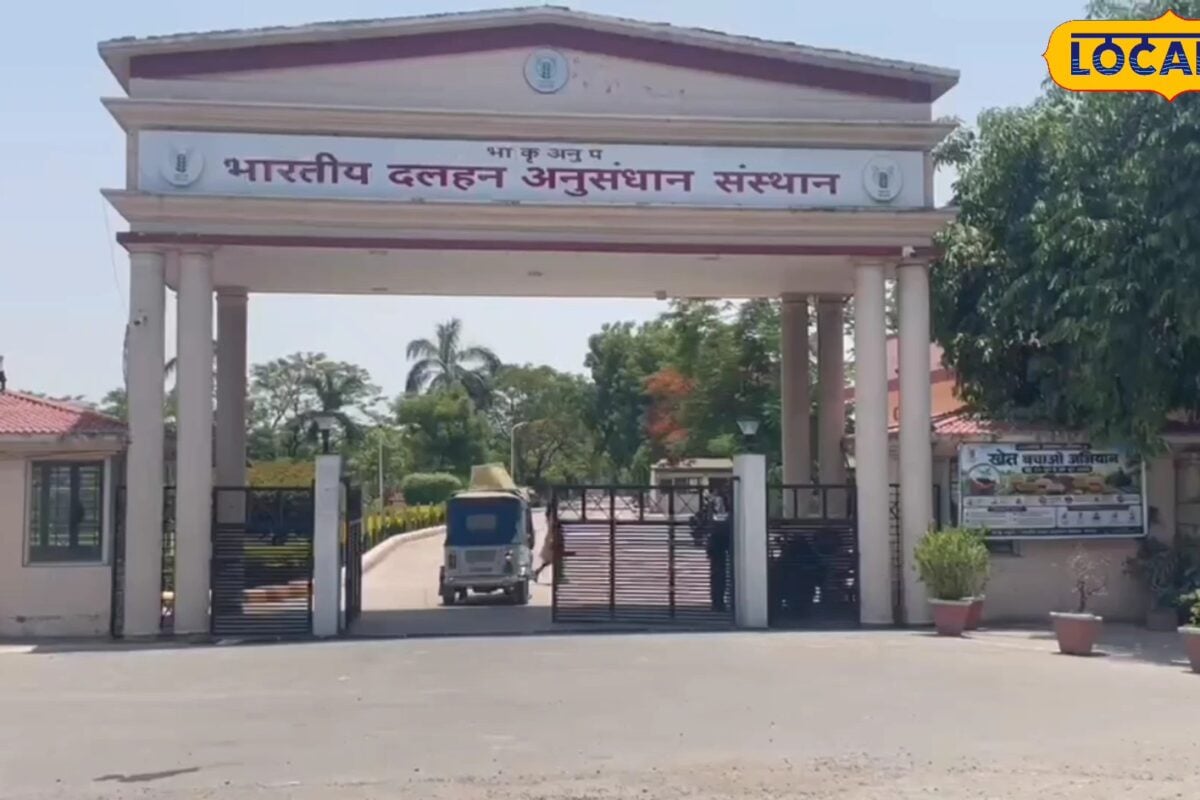 कानपुर: राइजोबियम और फास्फोरस साल्वलाइजिंग मित्र बैक्टीरिया से होगा बीज का उपचार बिना अतिरिक्त खर्च दलहन की होगी बंपर पैदावार