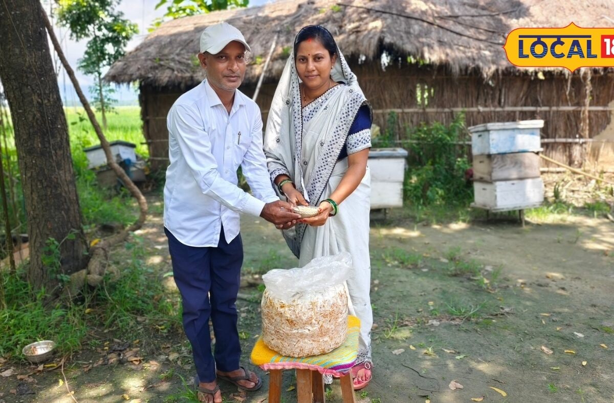 मशरूम की खेती से चौतरफा मुनाफा: साबुत बेचें या बनाएं पाउडर, ₹100 के बैग से ₹1400 तक की आमदनी