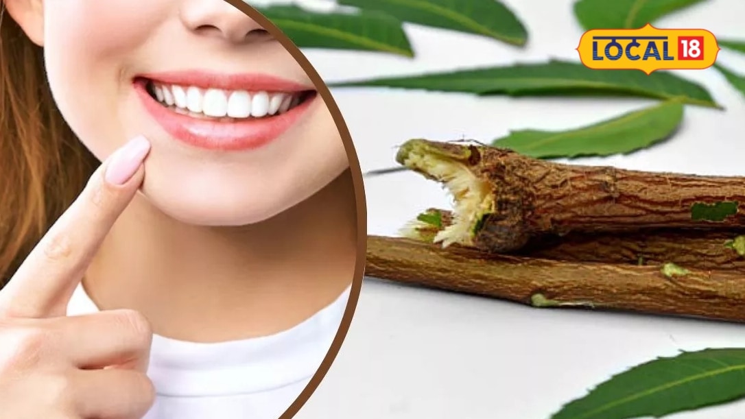 Neem Datun Benefits: मुंह की बदबू से लेकर मसूड़ों की मजबूती तक यहां जानिए नीम की दातुन के अनगिनत फायदे