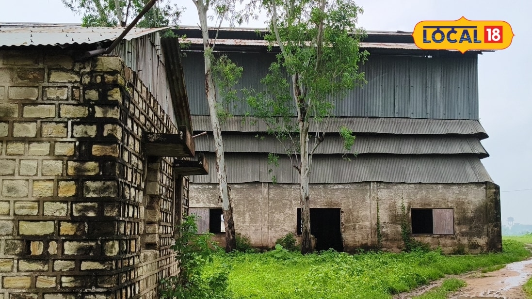 Chitrakoot Bauxite Factory: मानिकपुर-पाठा के सैकड़ों लोगों को रोजगार देने वाली बॉक्साइट फैक्ट्री खंडहर में तब्दील युवा पलायन को मजबूर