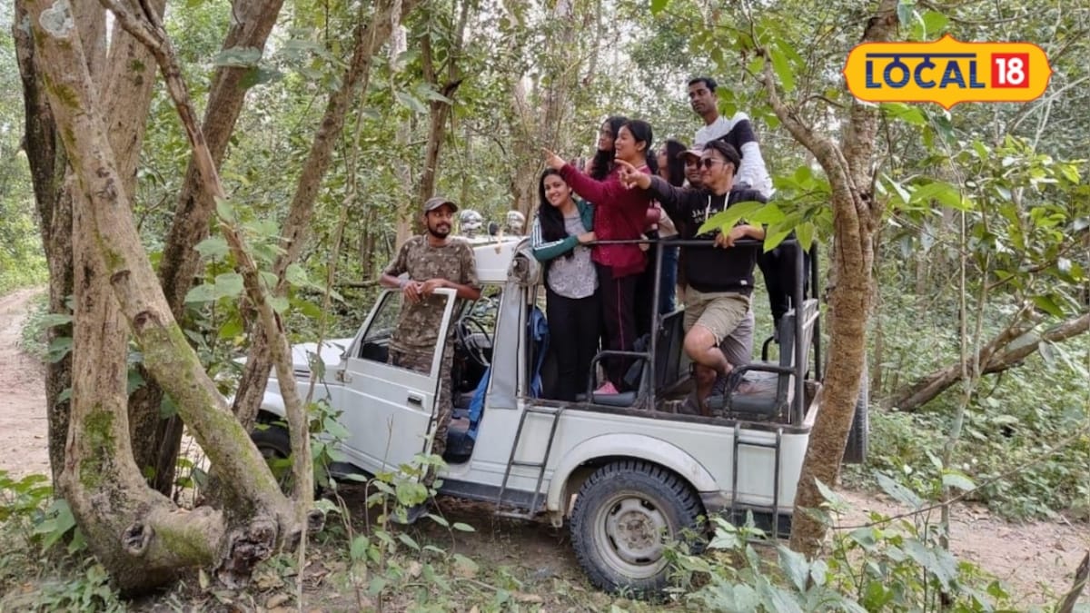 कॉर्बेट-राजाजी से बिल्कुल अलग, उत्तराखंड में यहां भीड़भाड़ से दूर मिलेगा सफारी का रोमांच