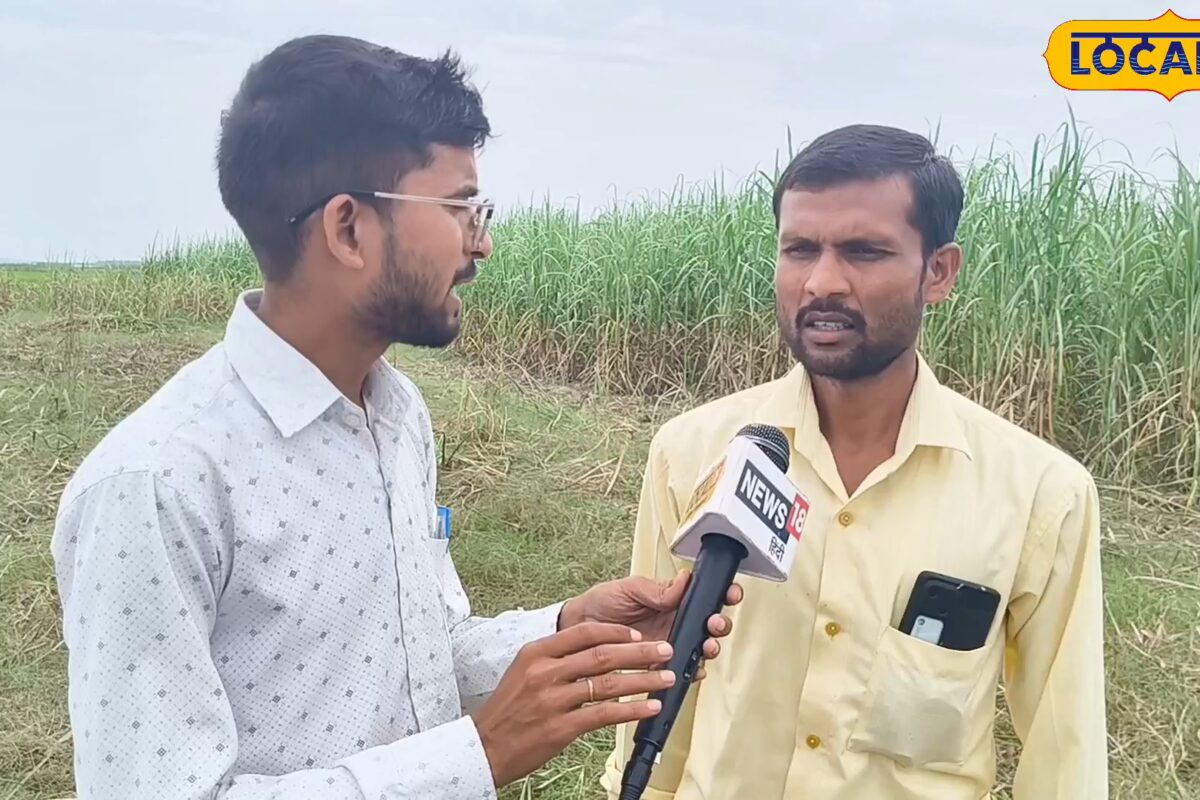 शारदा नदी का कहर लखीमपुर खीरी में कटान से किसानों की फसल बर्बाद कर्ज लेकर लगाई थी फसल
