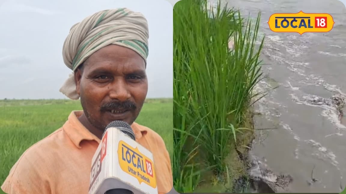 लखीमपुरः कैसे होंगे बेटी के हाथ पीले शारदा नदी कटान में समा गई 3 एकड़ धान की फसल बिजुआ ब्लॉक के किसान परेशान