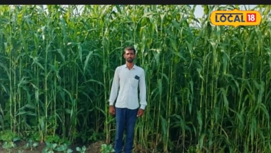 वैज्ञानिक खेती ने बदल दी जिंदगी नर्सरी सब्जियों और डेयरी से लाखों कमा रहा किसान
