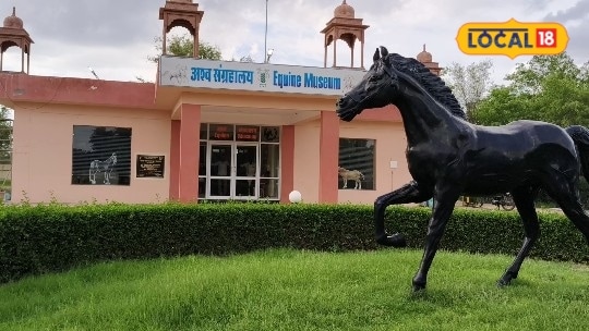 बीकानेर का अश्व संग्रहालय है घोड़ों की दुनिया का गेटवे शौर्य गाथाओं से नस्लों तक जानें अनोखा इतिहास