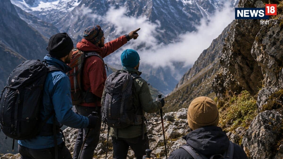 हिमालय का रहस्यमयी 'डायमंड' फूल, देखना सौभाग्य