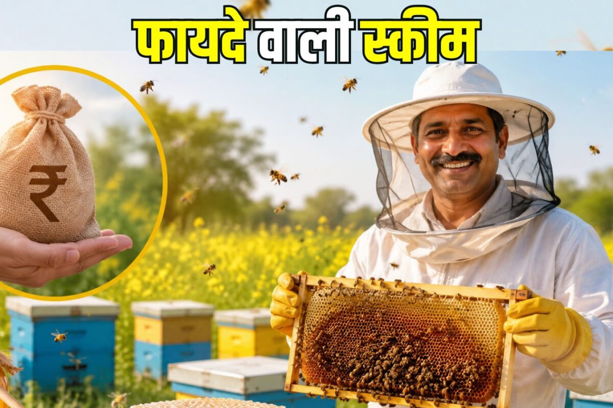 Scheme For Farmer : मधुमक्खी पाल बढ़ाइये अपनी इनकम, 85 फीसदी तक सब्सिडी दे रही है सरकार