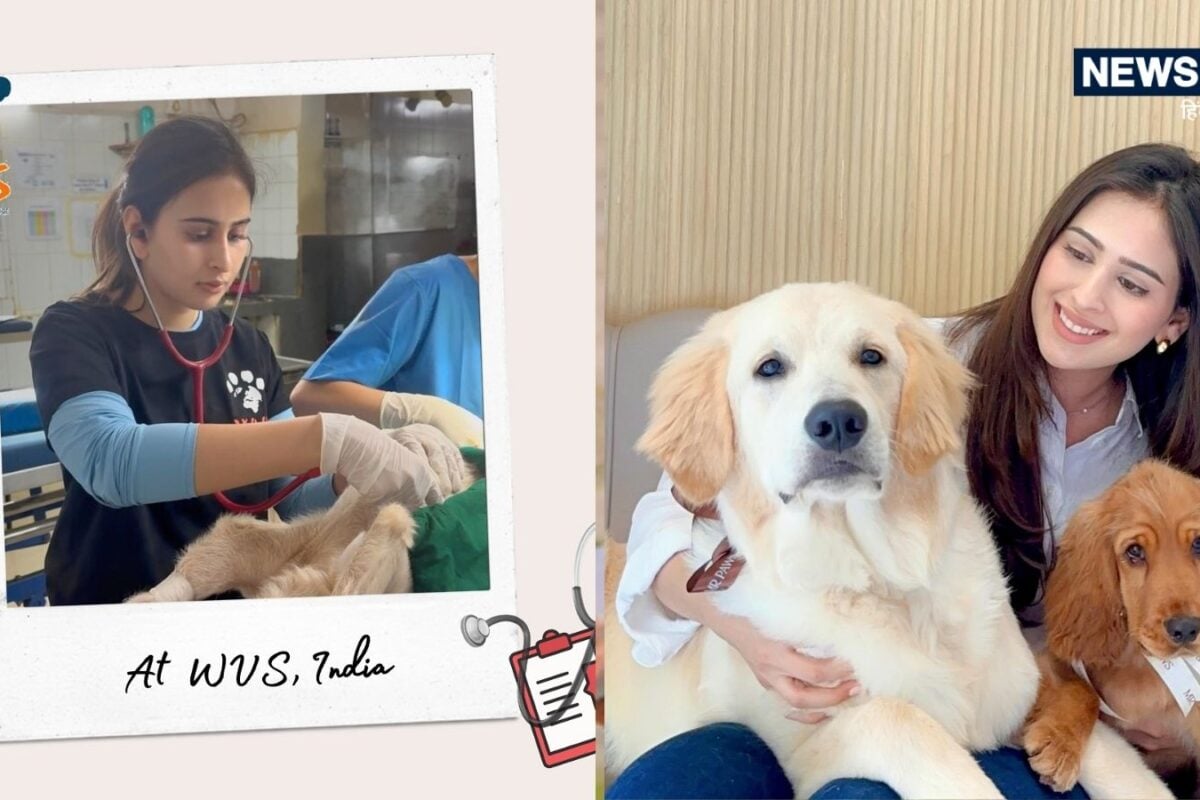 Veterinary Technician Course: 12वीं के बाद वेटरनरी डॉक्टर कैसे बनें जानिए कोर्स फीस और सैलरी से जुड़ी हर डिटेल