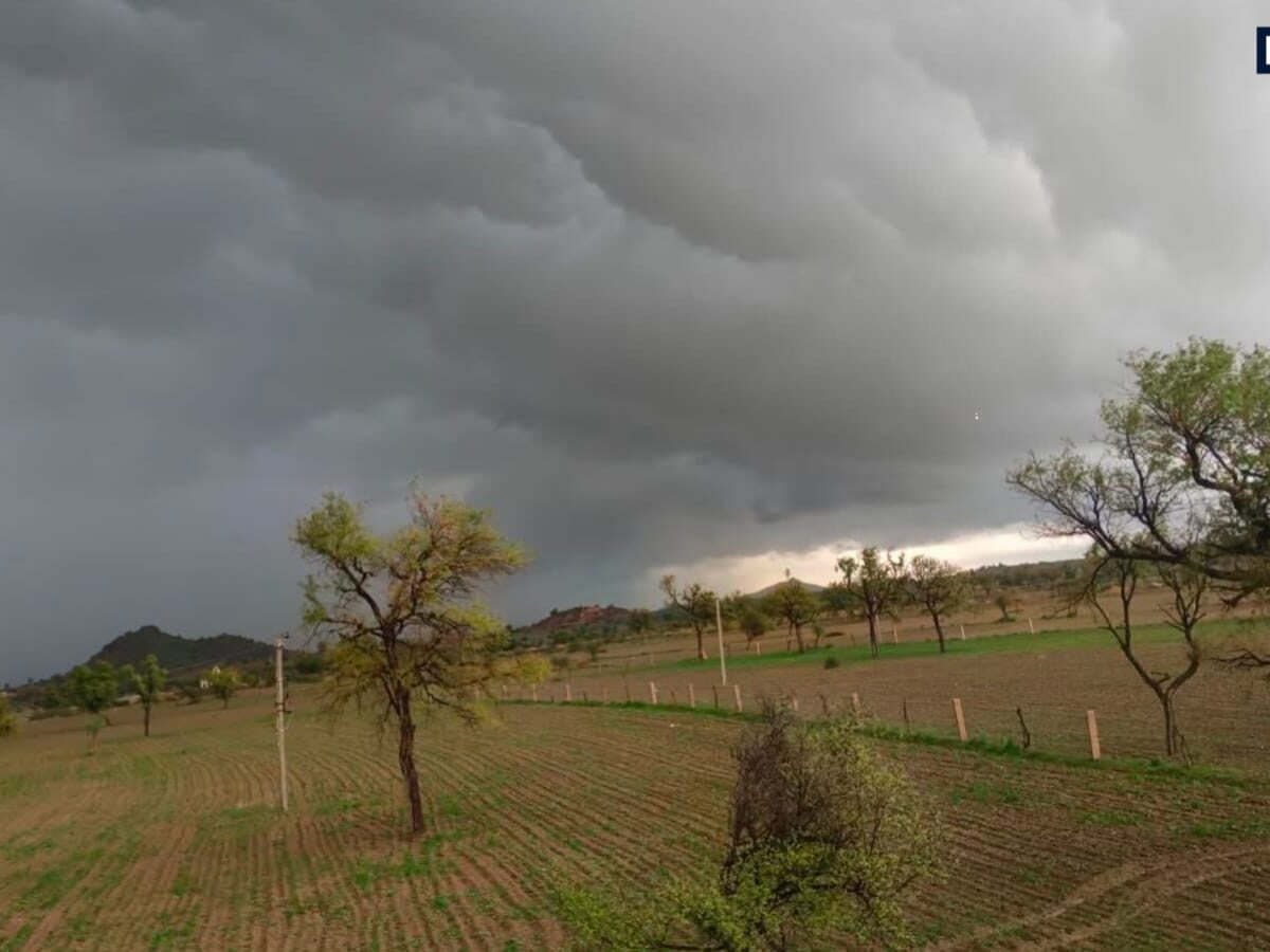 पंचायत चुनाव से पहले भजनलाल सरकार का बड़ा फैसला, अब पंचायतें 2 लाख तक की जमीन खुद नीलाम कर सकेंगी - News18 Hindi