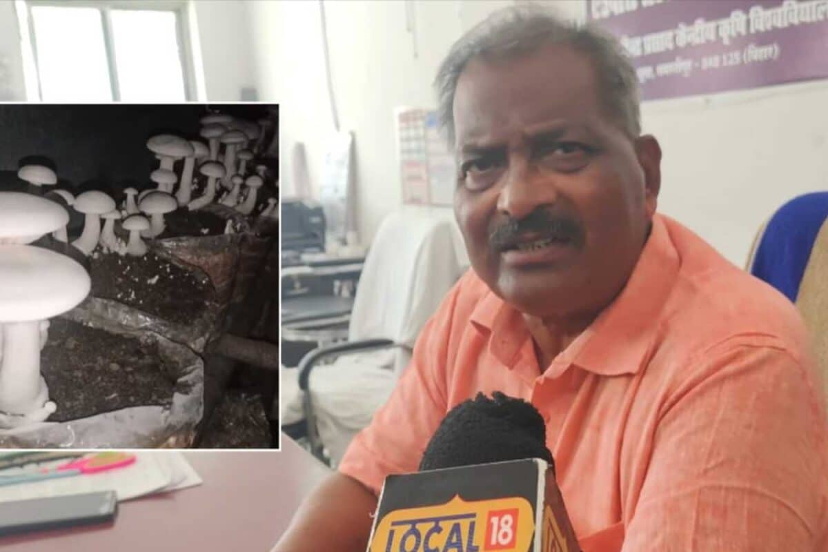 गजब का फार्मिंग फॉर्मूला! ₹3 लाख की झोपड़ी से होगी ₹10-15 लाख की सालाना कमाई पूसा के वैज्ञानिक से जानें तरीका