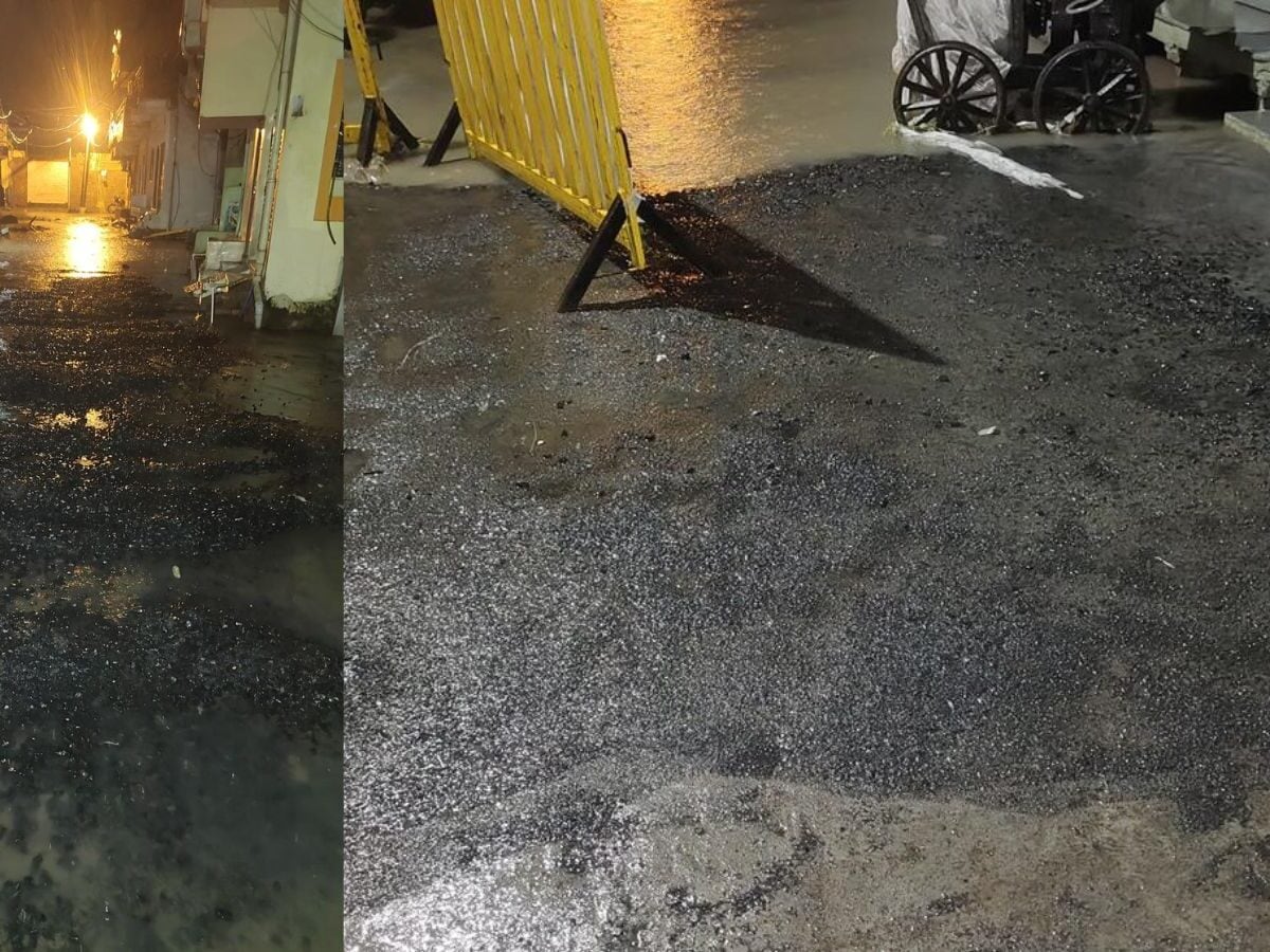 MP में ये कैसा विकास है? मूसलाधार बारिश के बीच डाली गई सीसी रोड, पानी में बहाया बजट