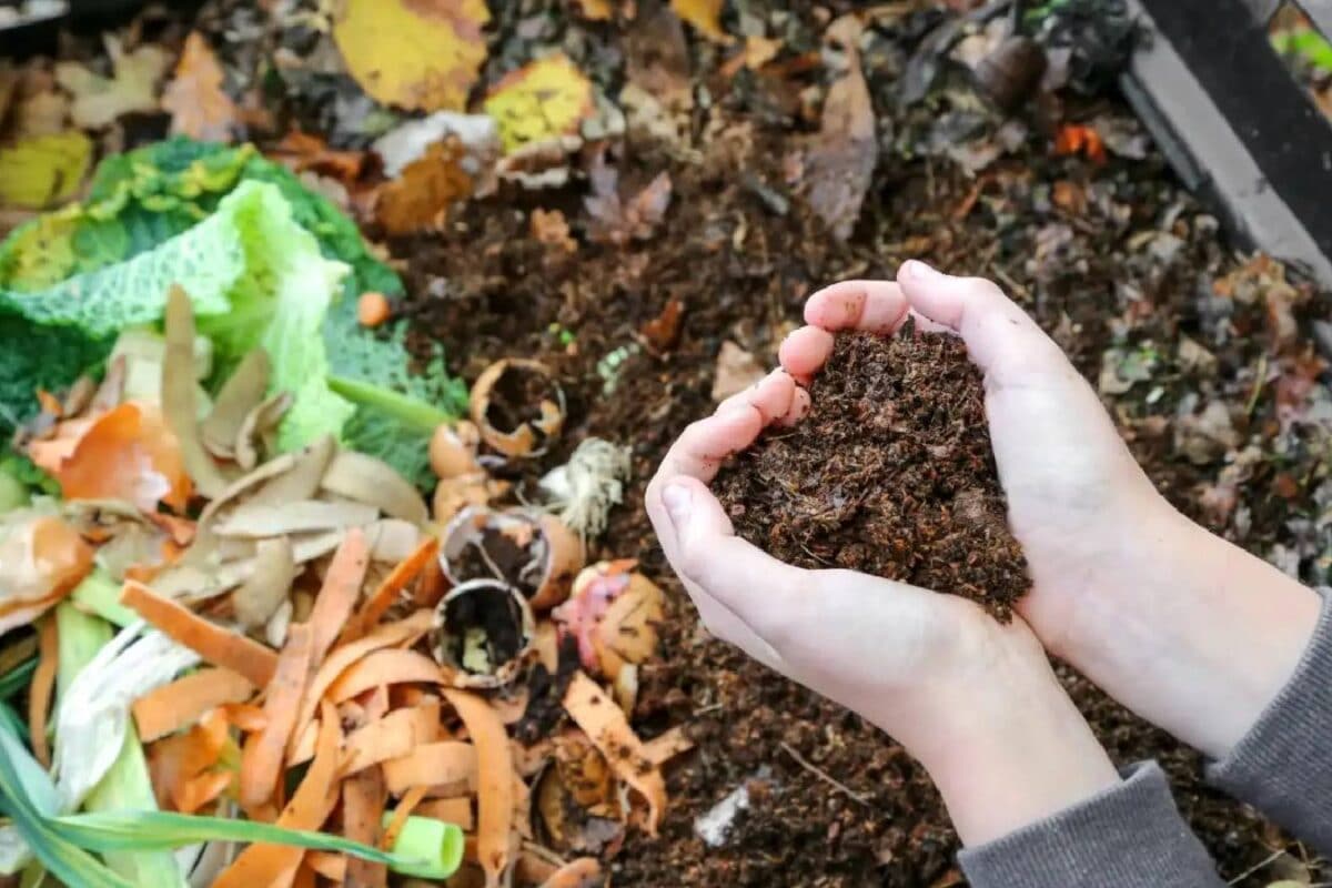 Organic Waste series-8: मेरे पास 50 लाख रुपये हैं मैं गीले कचरे से क्या काम शुरू कर सकता हूं