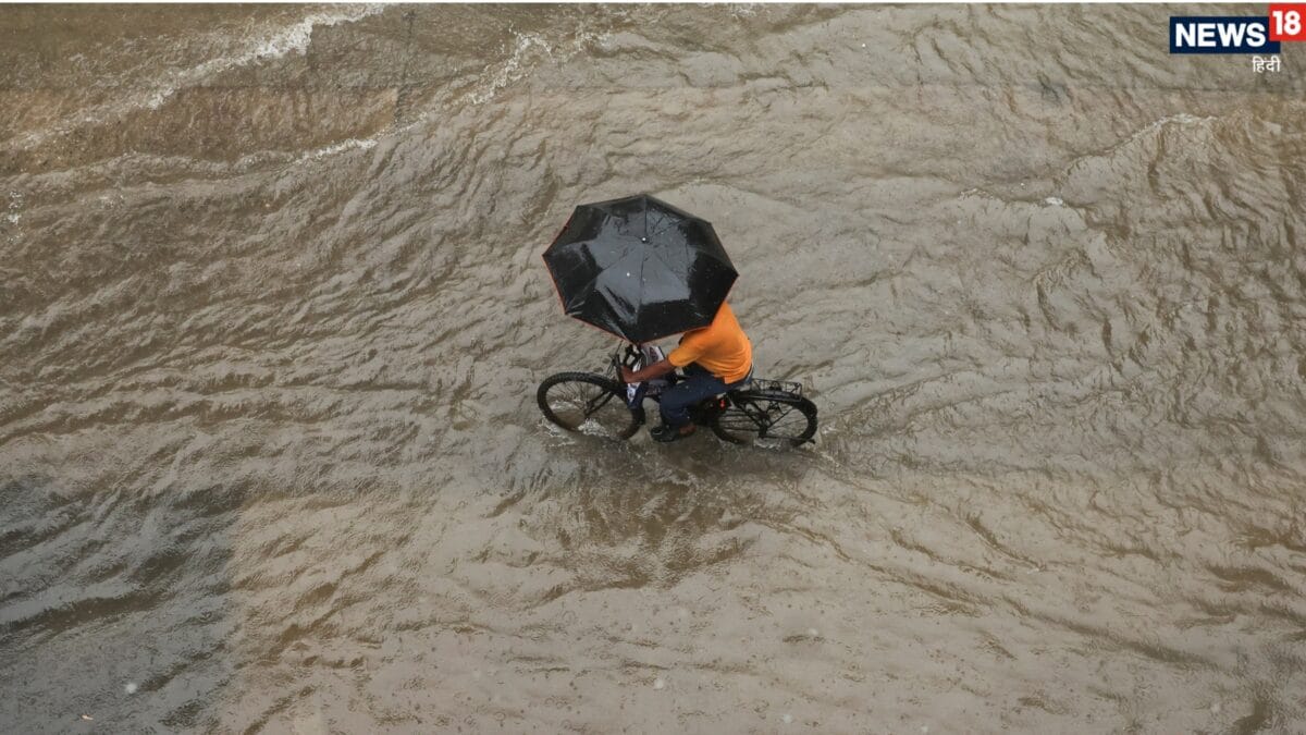 दिल्ली-नोएडा में जोरदार बारिश, वीकेंड कैसा रहेगा? IMD ने की भविष्यवाणी दिल्ली-नोएडा में जोरदार बारिश, वीकेंड कैसा रहेगा? IMD ने की भविष्यवाणी