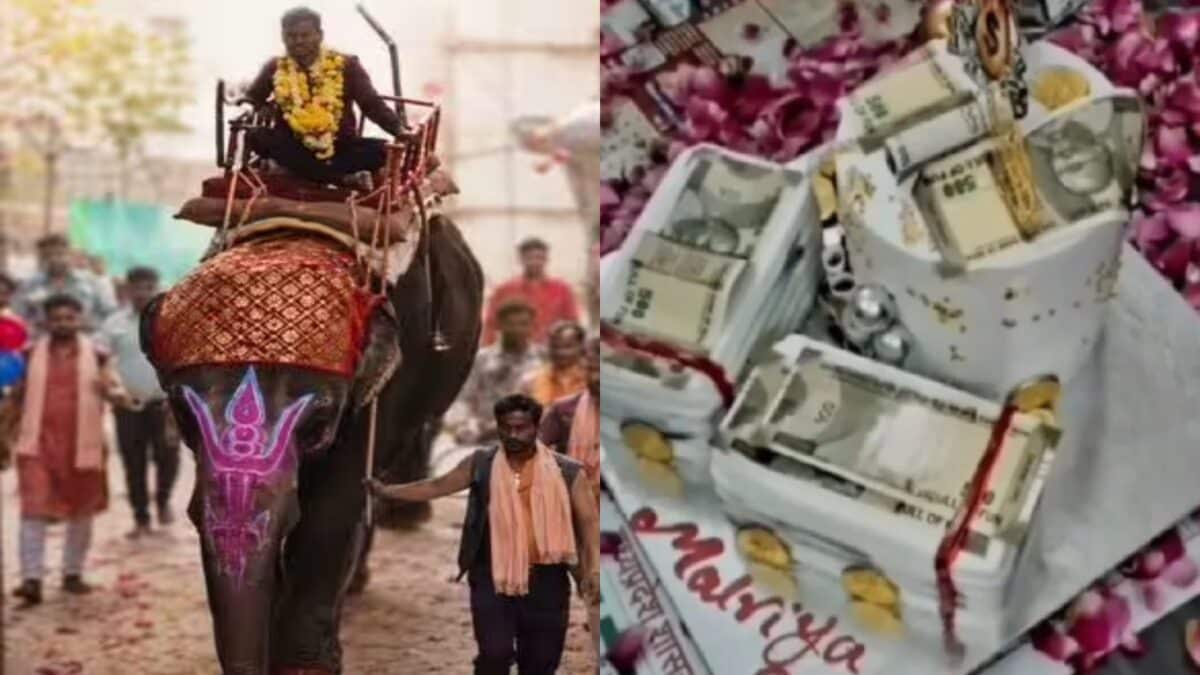 सरकारी दफ्तर में ‘राजा बाबू’, शाही बर्थडे मनाने हाथी पर चढ़कर पहुंचे ऑफिस.. सरकारी दफ्तर में ‘राजा बाबू’, शाही बर्थडे मनाने हाथी पर चढ़कर पहुंचे ऑफिस..