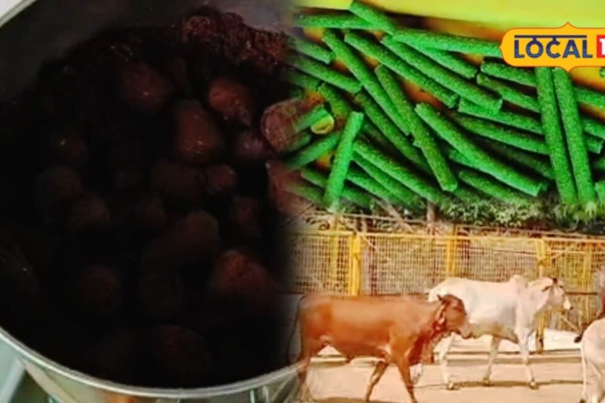 Bharatpur News: कभी गौ तस्करी के लिए बदनाम मेवात अब बदल रहा रंग गौशालाओं में बन रहे कमाल के उत्पाद