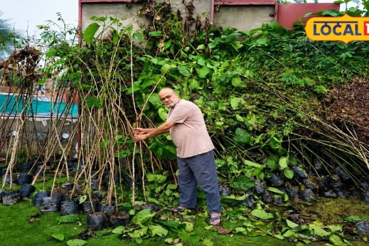 पौधा बचाओ, रोज कमाओ: झुंझुनू के श्याम सिंह की अनूठी मुहिम, बच्चों को मिलेगी पौधों की देखभाल की जेब खर्च