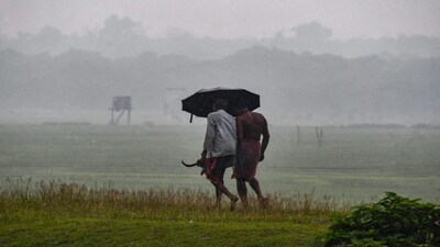 मध्य प्रदेश में मानसून 100 दिन सक्रिय रहा. (सांकेतिक तस्वीर)
