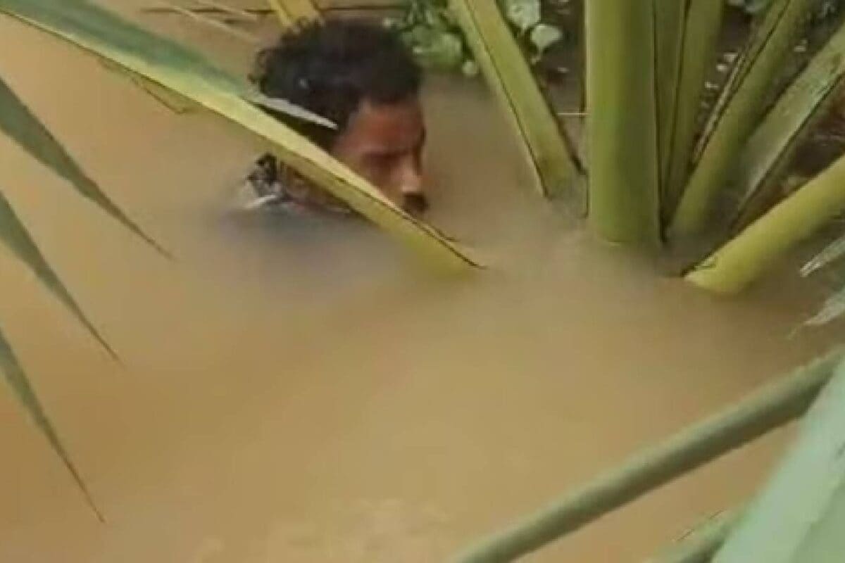 मौत को टक से छूकर आया शख्स न सोया न खाया 5 दिन बाढ़ में ताड़ के पेड़ से चिपका रहा सुनांदा