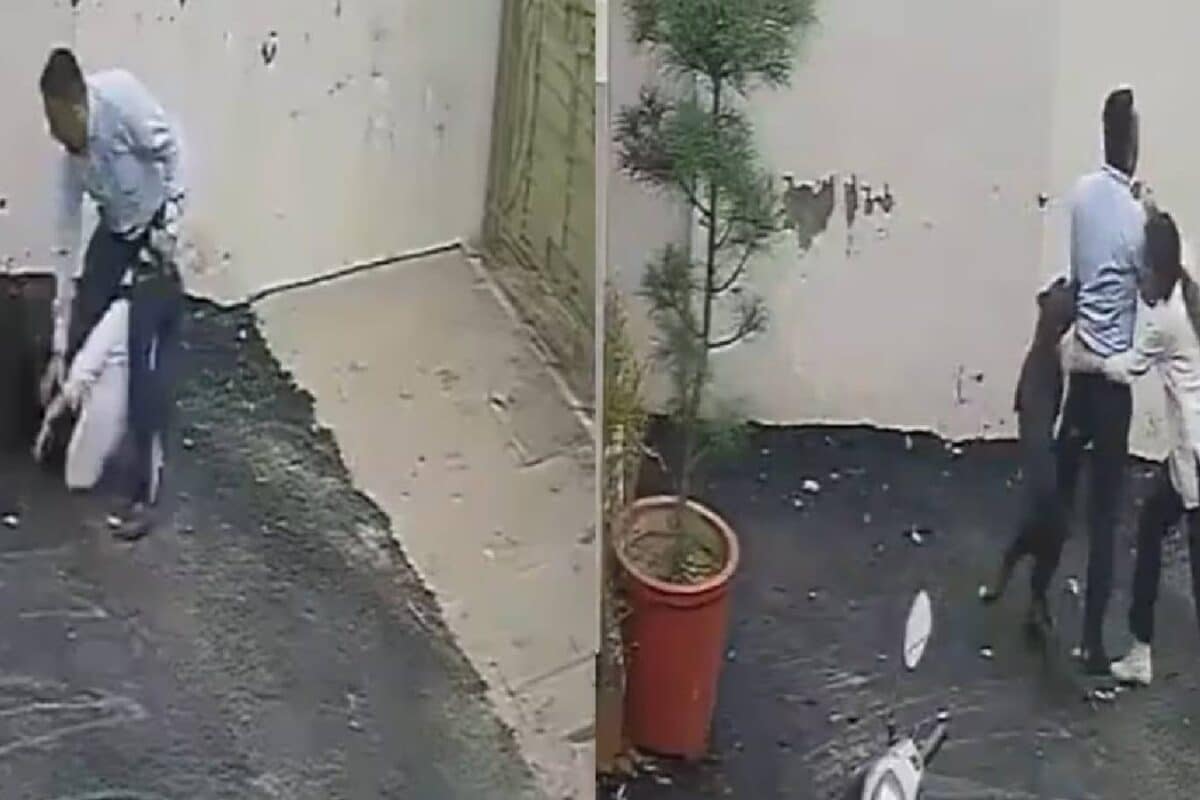 Dog Attack: 4 मिनट में 100 घावकिराए पर घर देखने गए पति-पत्नी गेट खोलते ही झपट पड़ा पिटबुल