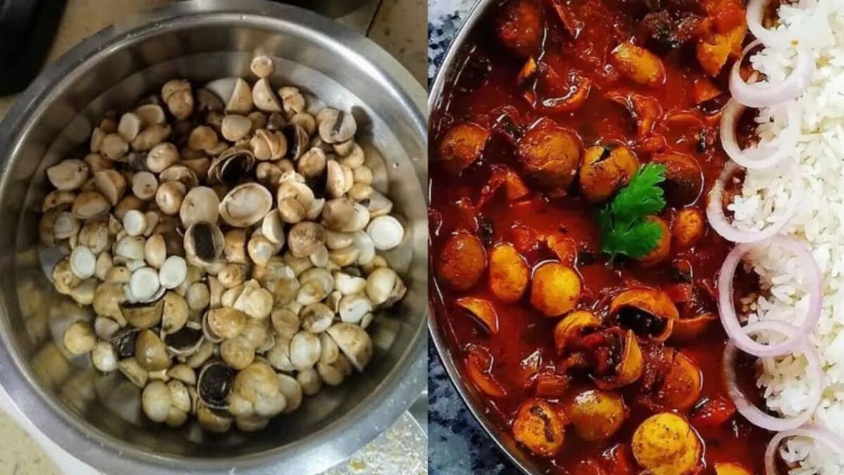 झारखंड का सफेद सोना, जरूर ट्राई करें रुगड़ा मशरूम की रेसिपी