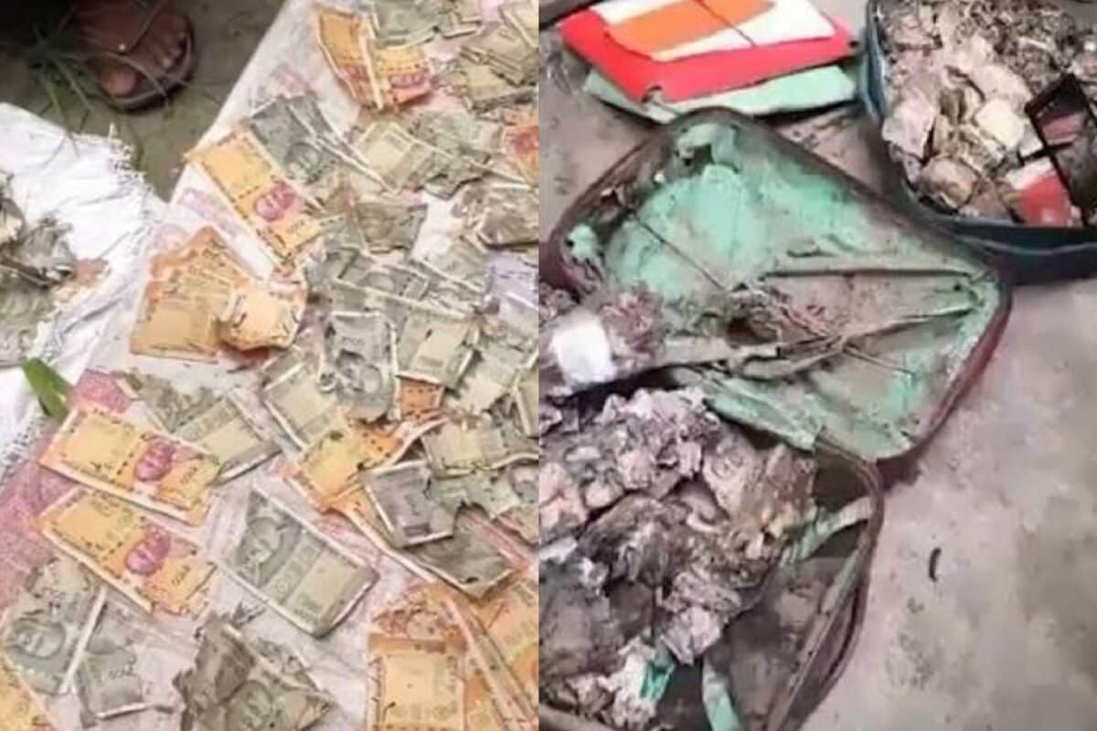 चूहे कुतर जाएं दीमक लग जाए या फट जाएं नोट क्‍या बैंक में जमा करके वापस मिल सकती उनकी कीमत RBI की गाइडलाइंस क्या कहती हैं