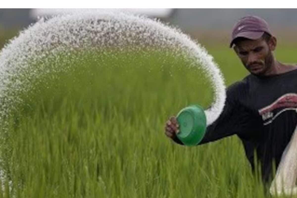 UREA Price : किसानों को 300 रुपये में मिलने वाला यूरिया का बोरा सरकार कितने में खरीदती है PM मोदी ने खोला राज