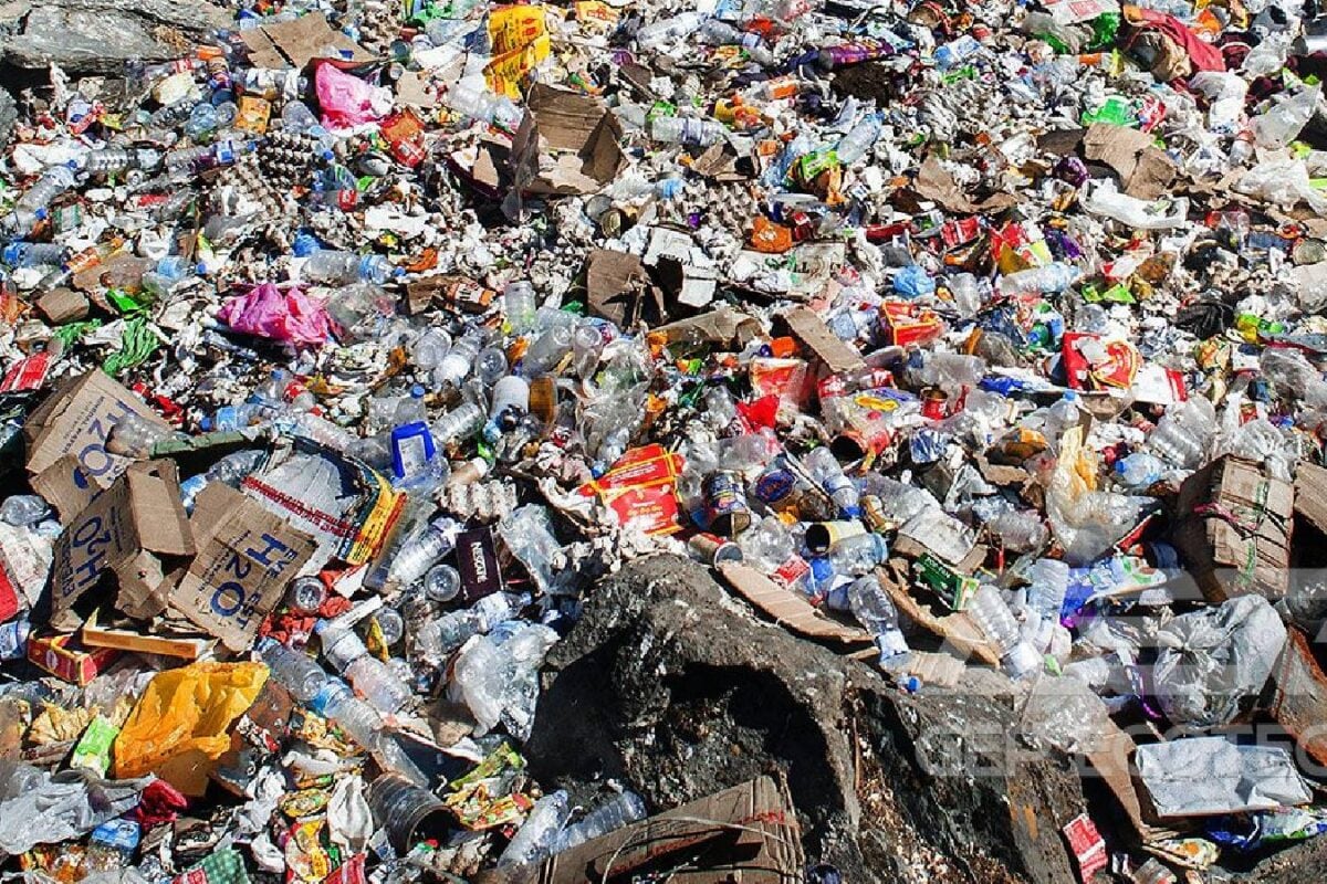Organic waste series-9: गीले कचरे से क्या-क्या बना सकते हैं घर पर शुरू कर सकते हैं काम एक्सपर्ट से जानें