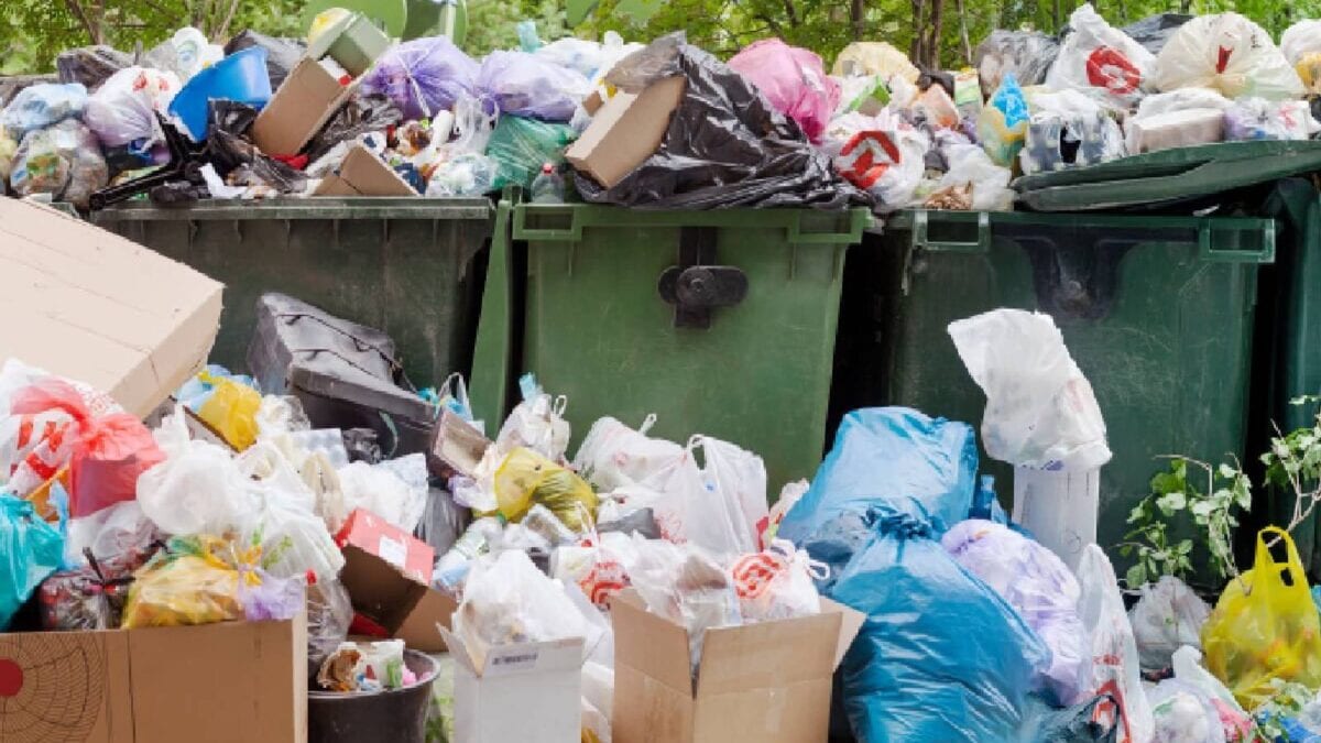 Organic Waste Series-4: कचरे से खाद या गैस बनाने का प्लांट लगाना है, कैसे मिलेगी सरकार से सब्सिडी? Organic Waste Series-4: कचरे से खाद या गैस बनाने का प्लांट लगाना है, कैसे मिलेगी सरकार से सब्सिडी?