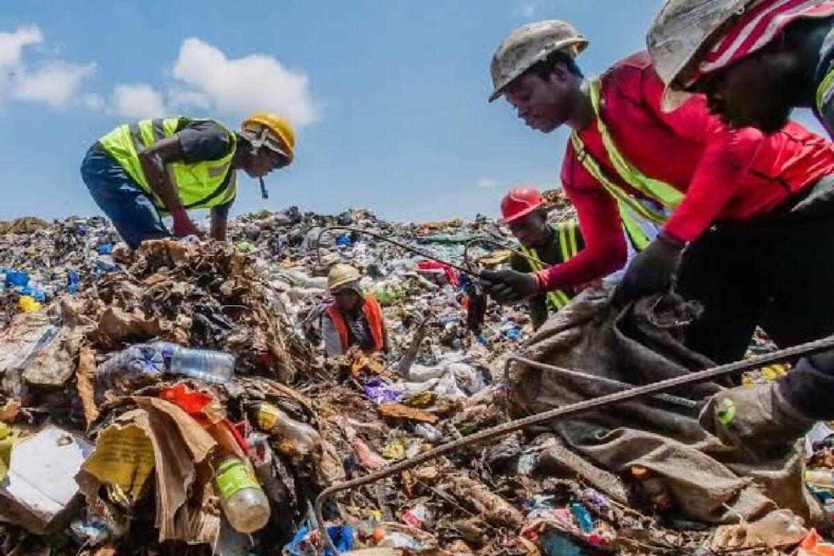 Organic Waste series-2: गीले कचरे से कैसे करें लाखों की कमाई कंपोस्ट या बायोगैस कौन सा बिजनेस 1 महीने में देता है इनकम