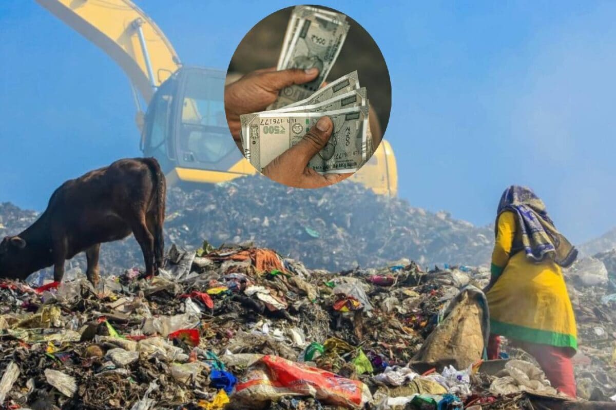 Organic Waste series 1: गीला और सूखा कचरा क्या होता है कैसे जैविक कचरे से हो सकती है छप्पर फाड़ कमाई एक्सपर्ट से समझें