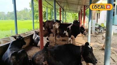 कृषि