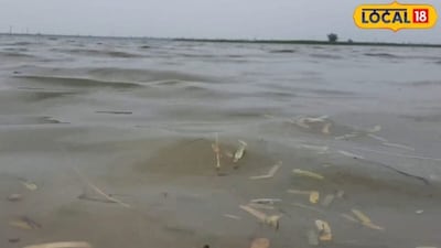 कृषि