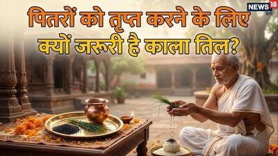 Pitru Paksha 2026: Why Black Sesame Seed Donation is Mandatory? Pacify Shani, Rahu-Ketu Dosha!