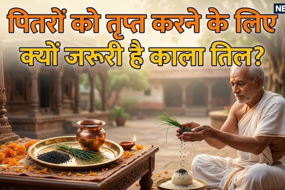 Pitru Paksha 2026 Kale Til Daan: पितृ पक्ष में काले तिल का दान क्यों है अनिवार्य शनि संग राहु-केतु दोष भी होंगे शांत! जानें श्राद्ध में तिल को लेकर मान्यता