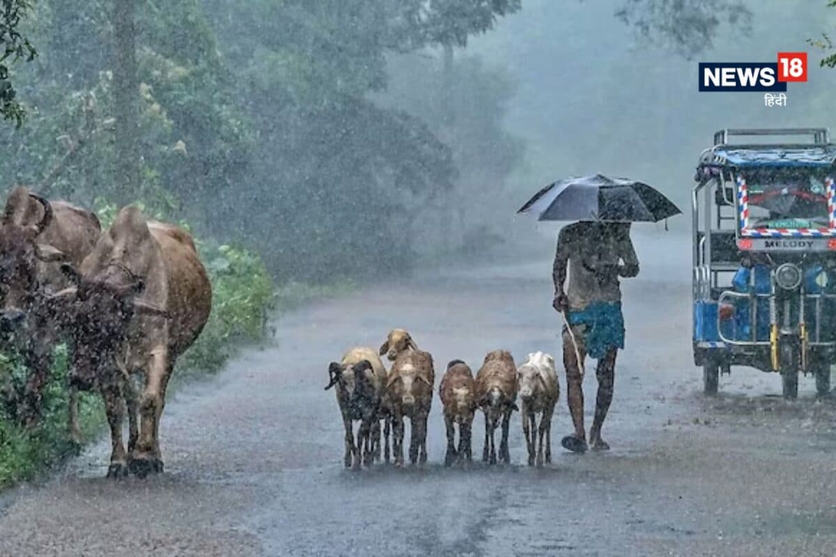 कल का मौसम 26 सितंबर: 60KM हवाएं और मूसलाधार बारिश IMD का UP-उत्तराखंड समेत 15 राज्यों में अलर्ट