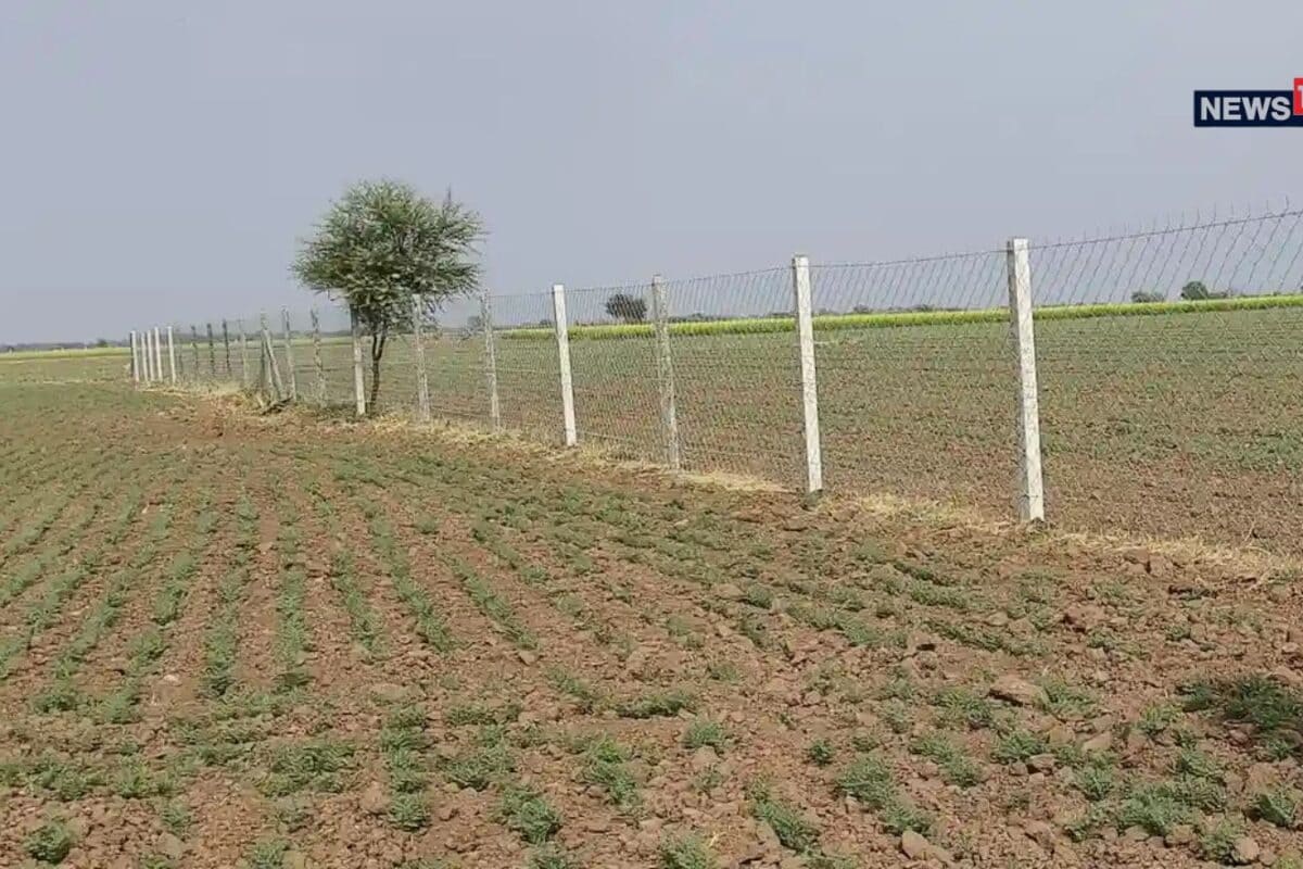 राजस्थान : तारबंदी योजना बनी किसान रामवीर सिंह की फसल का सुरक्षा कवच, जानिए आप कैसे उठा सकते हैं इसका फायदा?