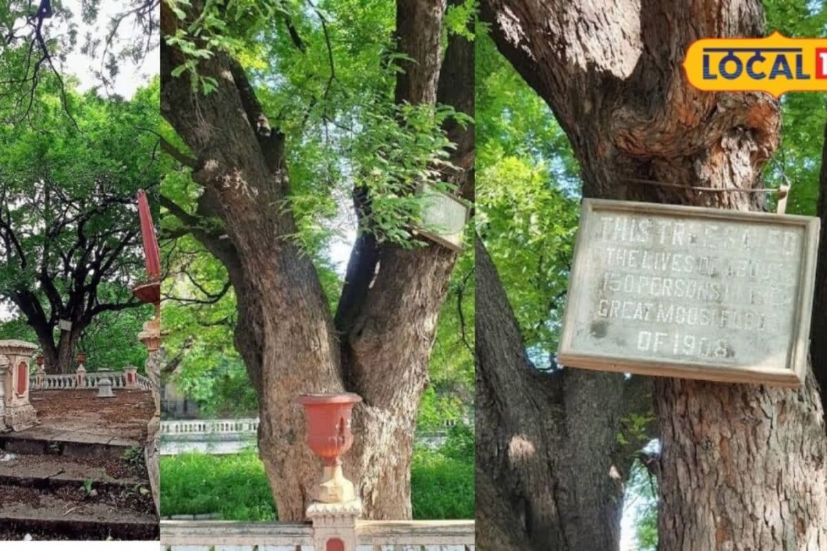 Hyderabad Musi Flood 1908: 118 साल से खड़ा है वह इमली का पेड़ जिसने बाढ़ में 150 लोगों की बचाई थी जान