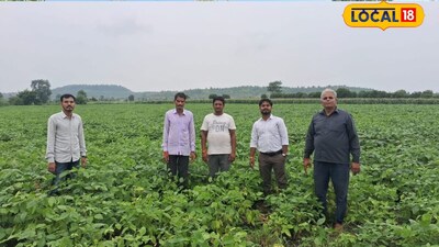 वहां पर उन्हें बागवानी करने के बारे में जानकारी दी गई जो उनको काफी अच्छी लगी इसके बाद उन्होंने इस योजना के लिए आवेदन किया और फिर 2017 में ढाई एकड़ की खेत में 200 आम के पौधों का वृक्षारोपण किया और खेती का काम शुरू कर दिया था. यही से उन्होंने शिक्षा की नौकरी छोड़ दी.