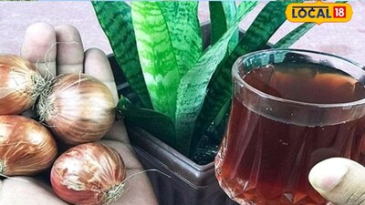 आप भी फेंक देते है प्याज के छिलके