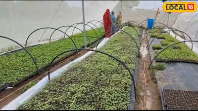 खेती में लागत ज्यादा मुनाफा कम