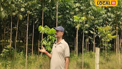 छपरा के किसान ने लगाया महोगनी 