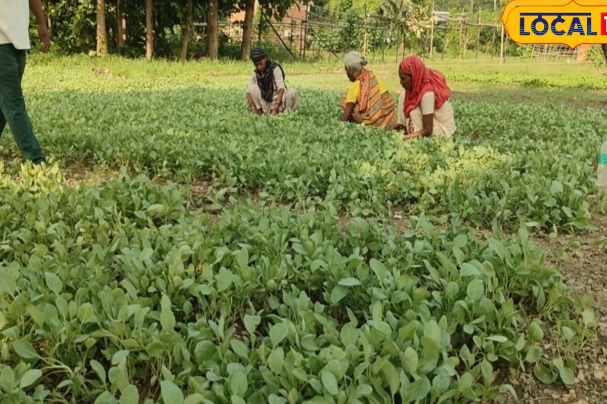 छपरा के बागेंद्र महतो कर रहे जैविक खेती, नर्सरी से बनाई पहचान, पीएम से मिला सम्मान, जीवामृत से बंपर फलन