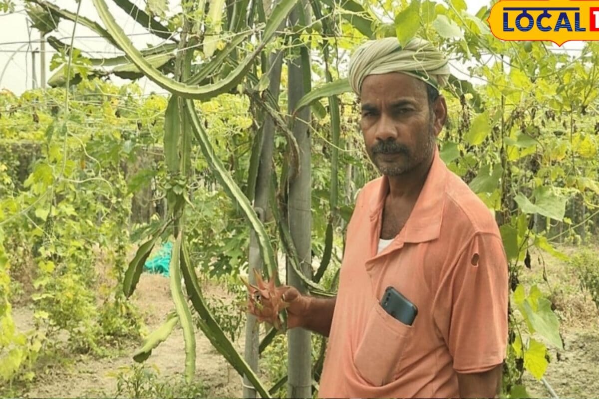 छपरा के किसान का जुगाड़ देख हैरान हुए लोग, एक ही खेत में उगा रहा 4 फसल