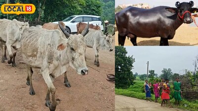 बालाघाट में बैगा परिवारों को मिलेगा रोजगार का सहारा