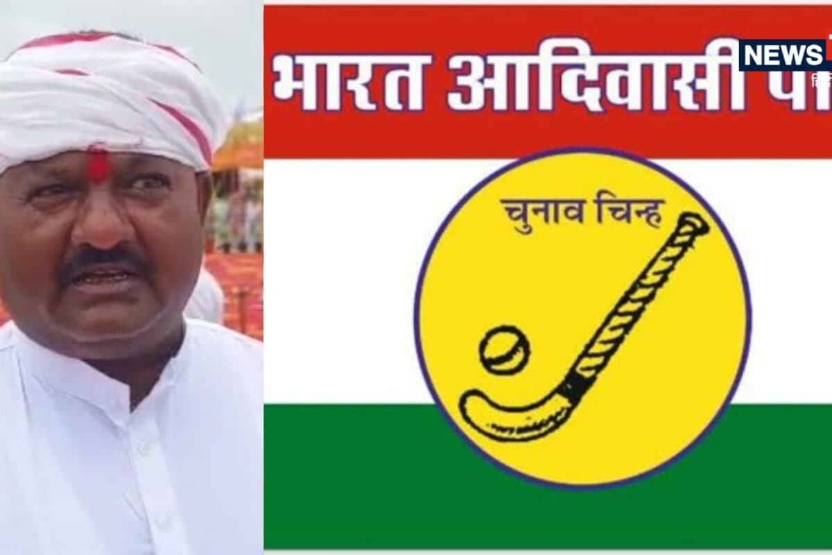 Bharat Aadmi Party Dissolves Banswara Unit and Removes Dungarpur President Following Municipal Poll Debacle
