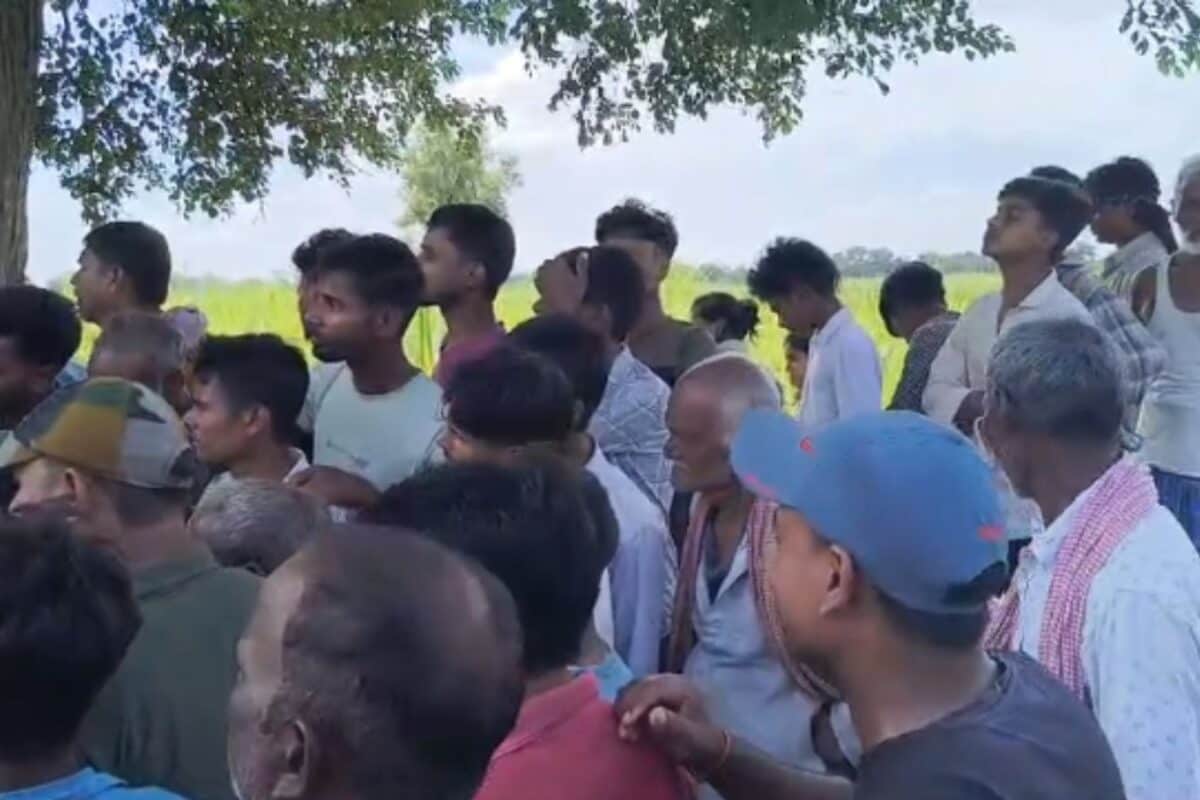 Tiger Attack : सरेह में चारा काट रही थी सलमा, अचानक बाघ ने किया हमला और चली गई जान