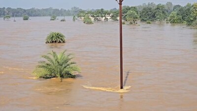 बस्तर में बाढ़ का कहर जारी.